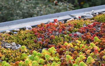 the cost of Sutton In The Elms green roof installation