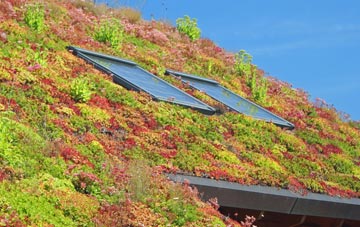 Sutton In The Elms living roof systems