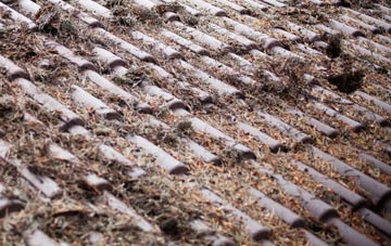 Sutton In The Elms roof cleaning companies