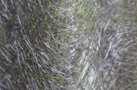 Sutton In The Elms fibreglass roof work